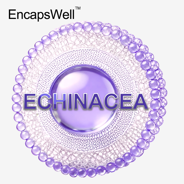 Liposomal Echinacea